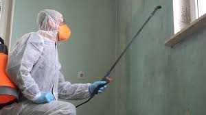 Why You Should Choose Our Mold Remediation Services in Red Oak, TX