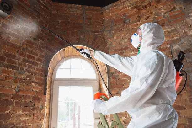 Mold Documentation for Insurance Claims in Red Oak, TX