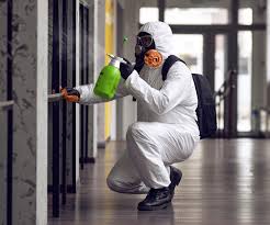 Best Environmental Consulting for Mold Prevention  in Red Oak, TX